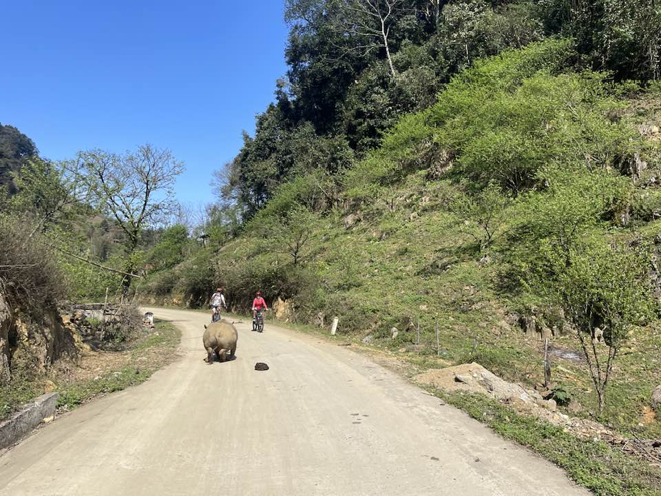 21 Days Biking Through Vietnam Tours